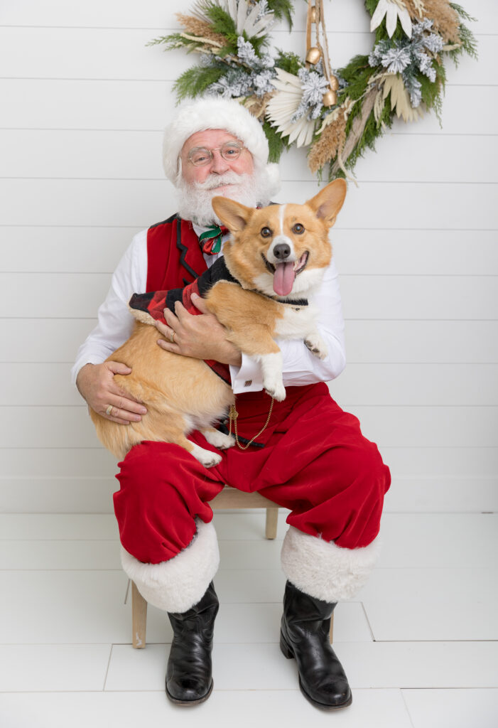 Santa session with dog