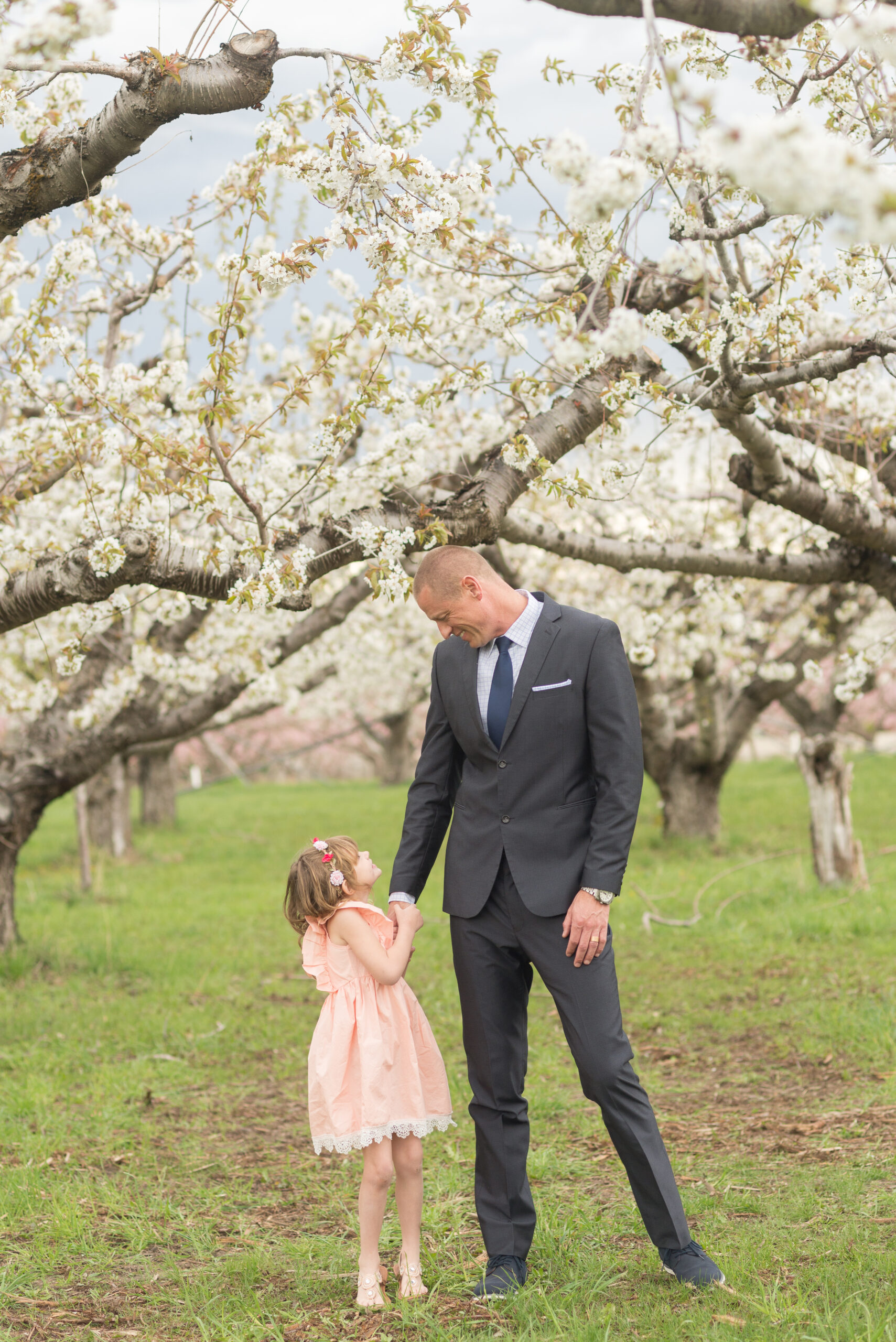 Gorgeous dad and daughter moment at the Manning Orchard